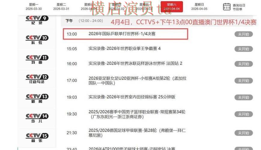 世界杯直播背景下的世界杯买球平台解析与速度测试